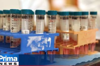 Vakcína od Novavaxu je zastaralá. Nechápu, proč na ni „odmítači“ čekají, říká imunoložka